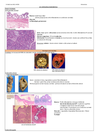 AP-patologia-pancreatica.pdf