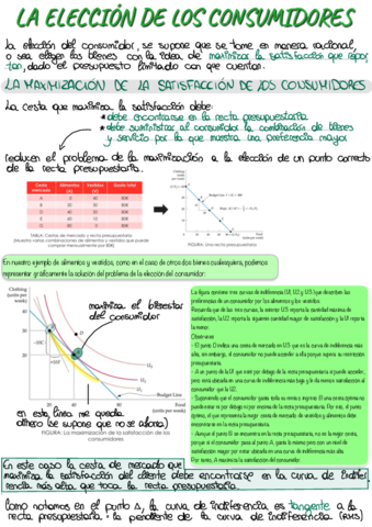 Comportamiento-del-consumidor-y-de-la-empresa-11-13.pdf