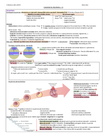 Deteccio-CI-i-medicina-nuclear.pdf