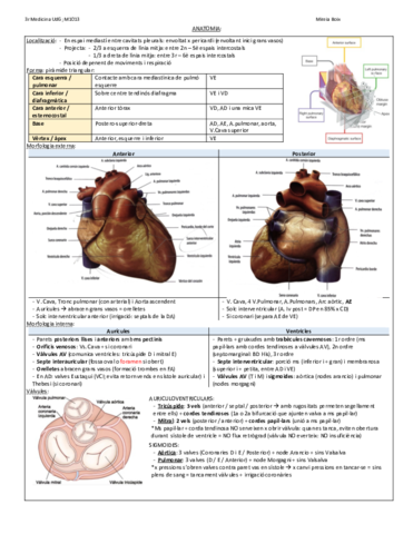 ANATOMIA-cor.pdf