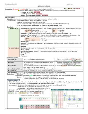 Seminari-risc-CV.pdf