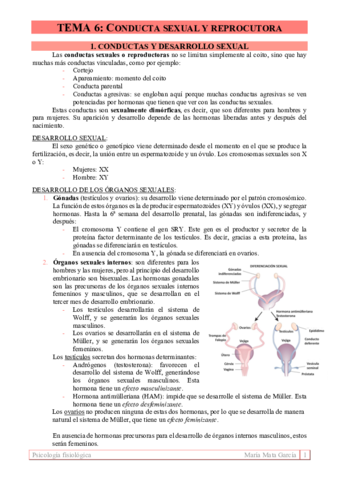 TEMA-6.pdf