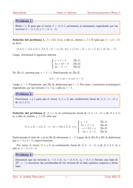 Soluciones_Tema_1.pdf