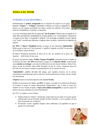 TEMA-311.pdf