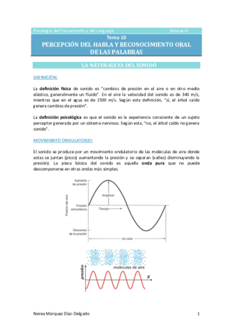 Tema-10-Percepcion-del-habla-y-reconocimiento-de-las-palabras.pdf