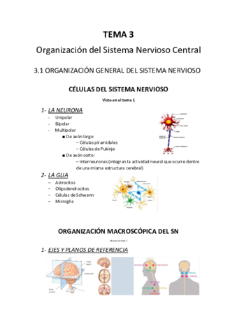 apuntes-3-1.pdf