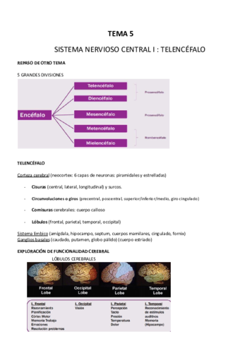 Tema-5-.pdf