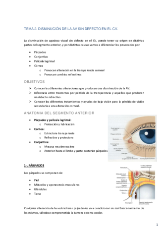 TEMA-2.pdf