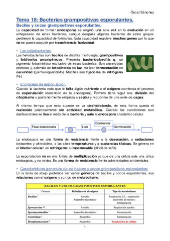 Tema-18-Micro-II.pdf