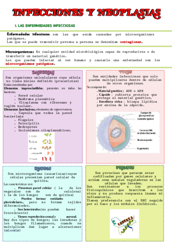 TEMA-5-FISIO.pdf