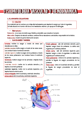 FISIO-TEMA-8.pdf