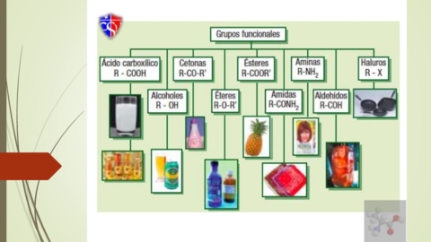 Grupos-Funcionales.pdf