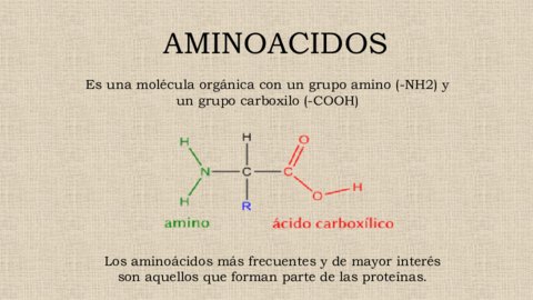 AMINOACIDOS.pdf