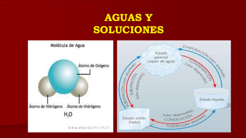 AGUA-DISOLUCIONES.pdf