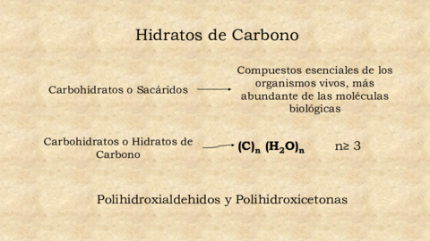 Carbohidratos-I.pdf