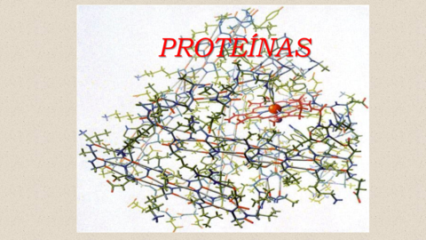 Qui-Unidade-13-Preoteinas-2.pdf