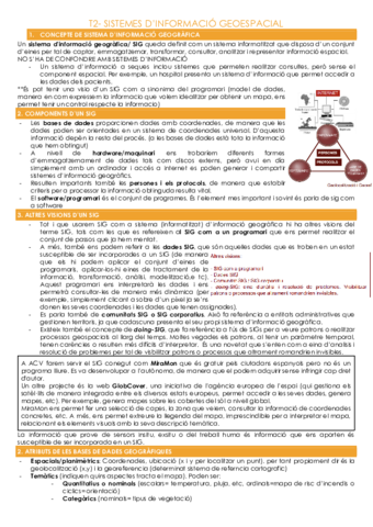 T2-SISTEMES-DINFORMACIO-GEOESPACIAL.pdf