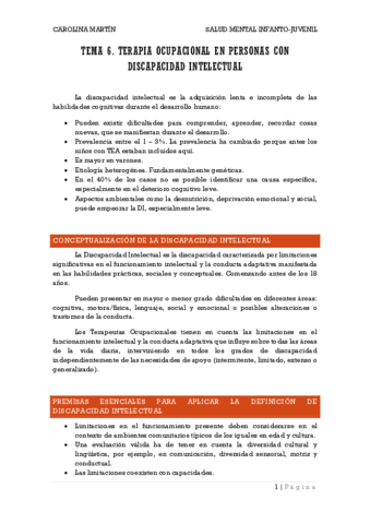 TEMA-6.pdf
