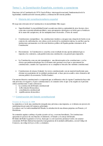 Resumen-tema-1-.pdf