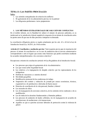 TEMA-13-LAS-PARTES-PROCESALES.pdf