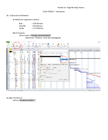06-GUIA-PROJECT-2010-parte-6Monitoreo.pdf