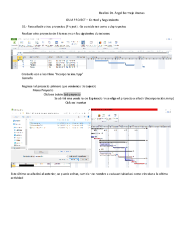 05-GUIA-PROJECT-2010-parte-5Edicion-E-Informes.pdf