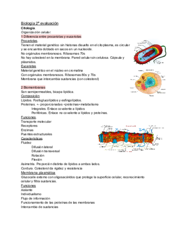 Documento-sin-titulo-3.pdf