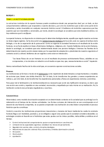 TEMA-2.pdf