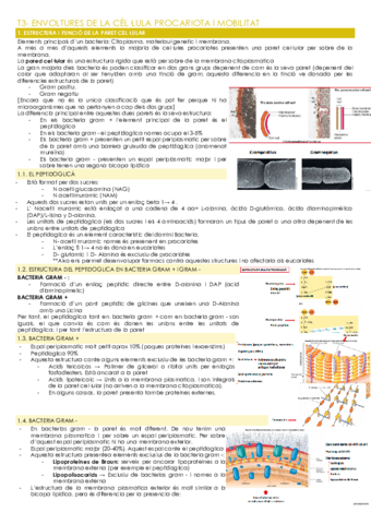 T3-ENVOLTURES-DE-LA-CELLULA-PROCARIOTA-I-MOBILITAT.pdf
