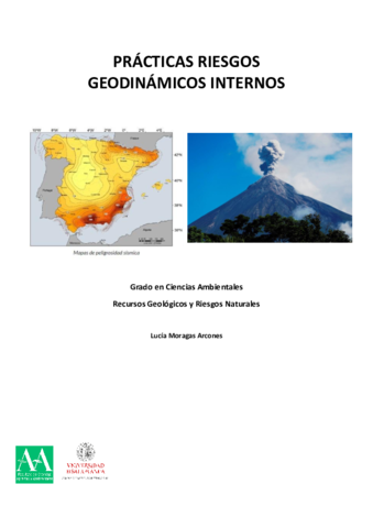 Riesgos-Internos.pdf