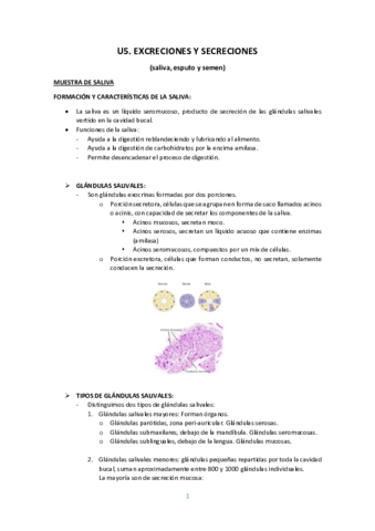 U5-EXC-Y-SECR-SALIVA-ESPUTO-Y-SEMEN.pdf