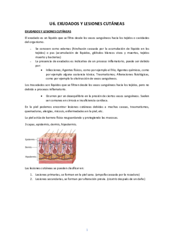 U6-EXUDADOS-Y-LESIONES-CUTANEAS.pdf