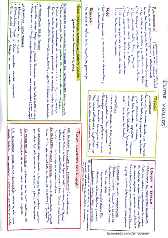 Apuntes-Entre-Visillos-y-literatura-s.pdf