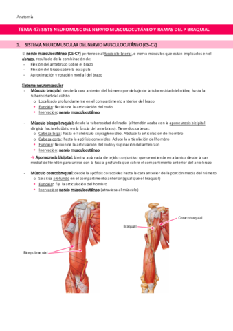 TEMA-47-Sistemas-neuromusculares-del-nervio-musculocutaneo-y-de-ramas-directas-del-plexo-braquial.pdf