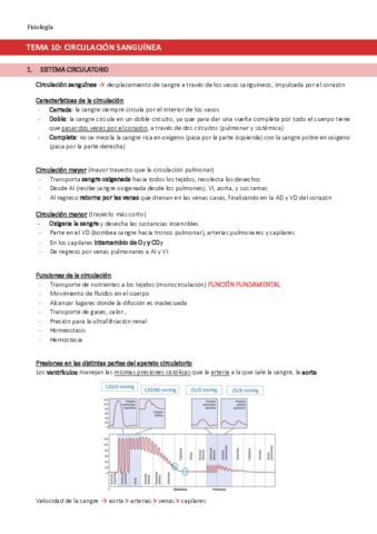 TEMA-10-Circulacion-sanguinea.pdf