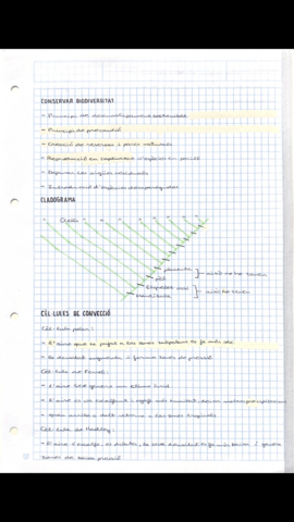2B66959C-63A1-40A8-ABEC-203C22140D79.png