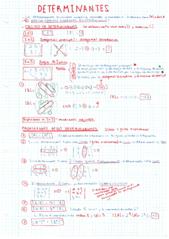 Determinantes.pdf