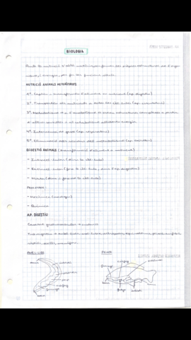 925BB469-D3C1-4DEF-8033-AF5F4DB9E847.png