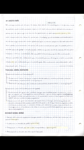 0BDE4A99-4A49-469E-B4E3-6771A2859992.png