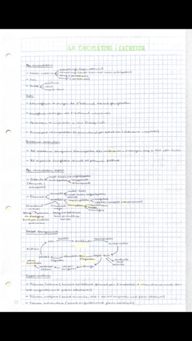 D360C5D8-B674-4330-81A1-3C16301ADE06.png