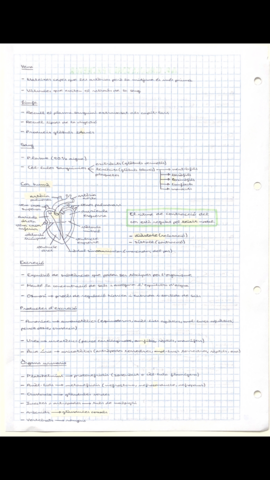 2BDE80F2-B5C9-49A1-A470-6E4B5141E5DD.png
