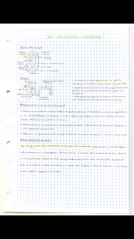 0A39EBB9-E566-4508-B824-4D029704C40A.png