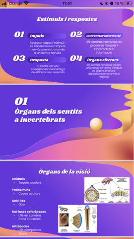 0815A1AE-97D7-4B8B-8508-5D907665E469.png