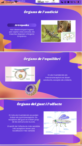 0E269D46-9069-4AC7-AD6E-51BF34E11E49.png