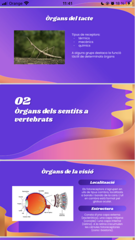 7939F985-D915-47F4-8F1A-7FDD8A453F02.png