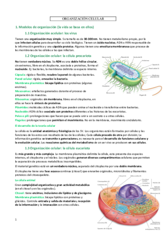 Celula-y-organulos.pdf