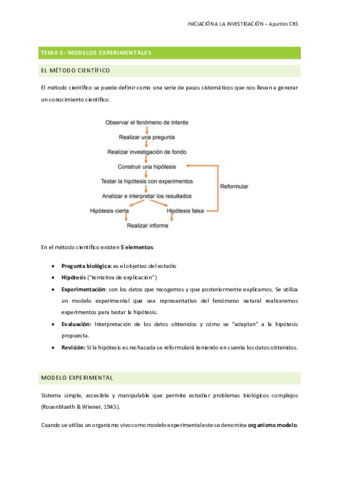 5. modelos experimentales.pdf