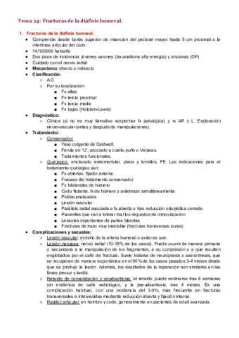 Tema-24.pdf