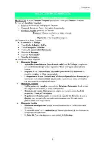 TEMA-9-Consultoria.pdf