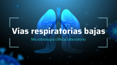 Vias-respiratorias-bajas.pdf